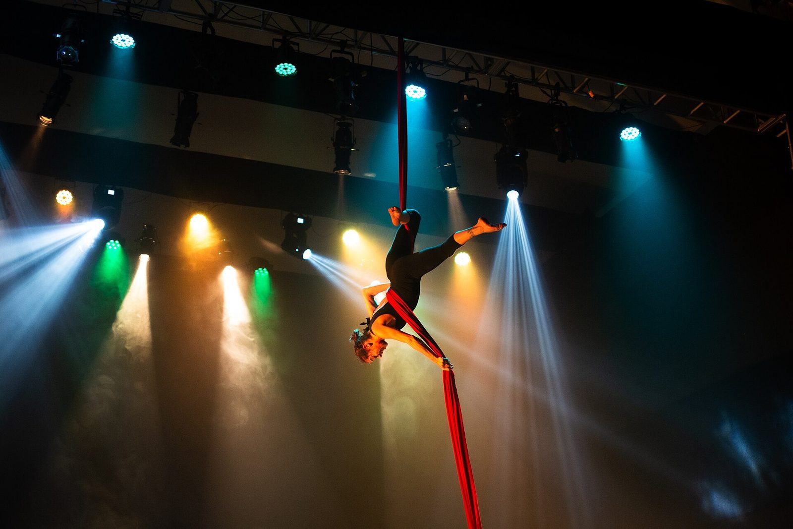 Cirque & Spectacle — live events